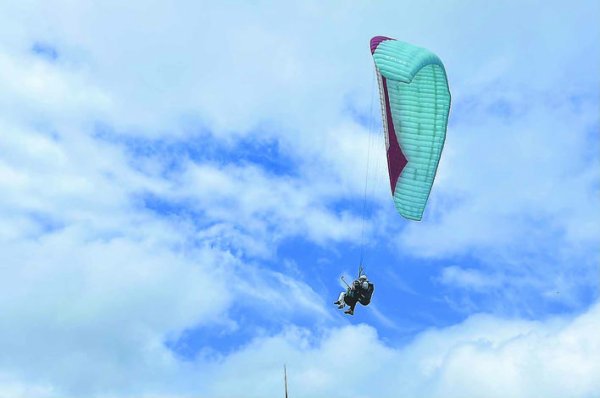 恒力配资 齐岳山：以“凉”为媒 自由撒欢