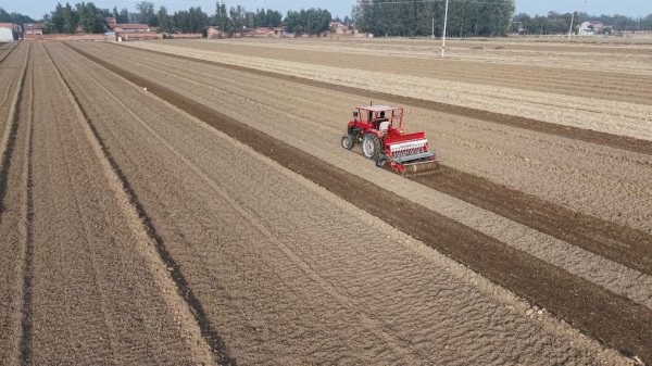 赛岳恒配资 河北：多措并举应对小麦晚播 力促粮食稳产增收